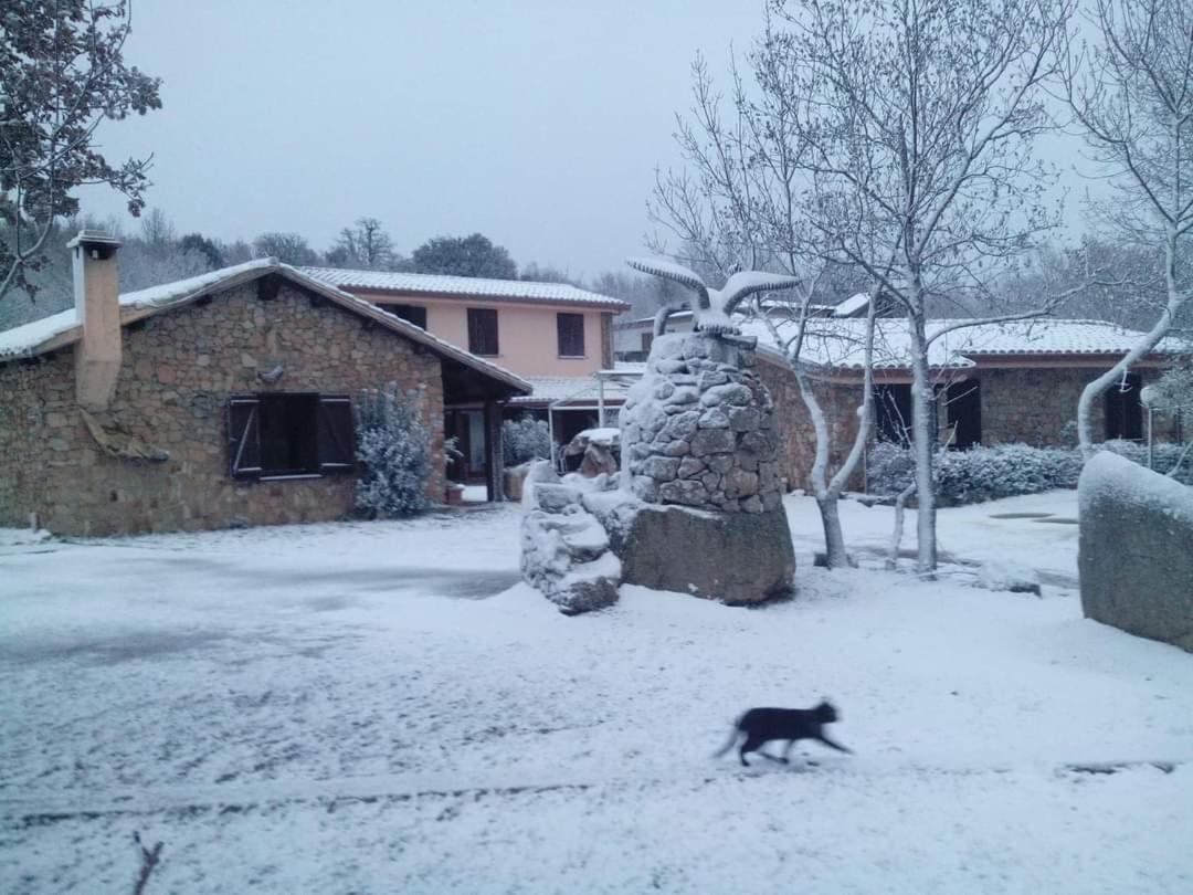 Hotel Il Nido Dell'Aquila Villanova Strisaili Εξωτερικό φωτογραφία